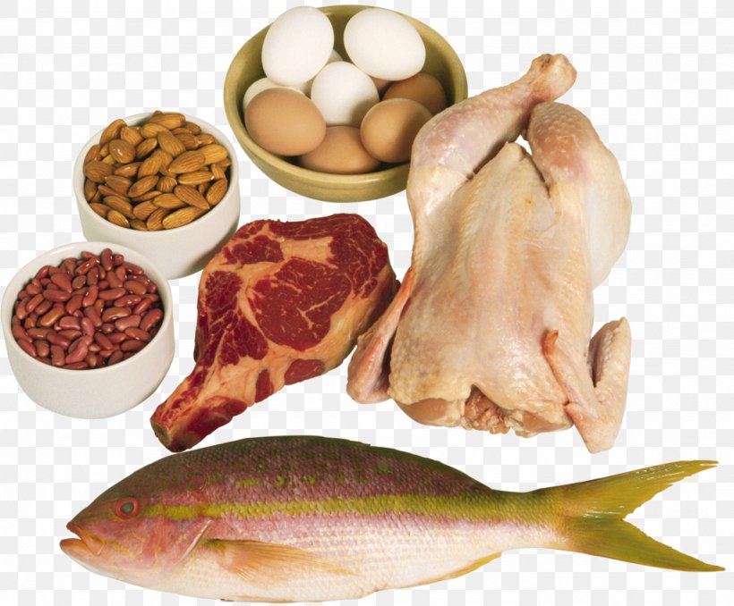High-protein Diet Food Eating, PNG, 1024x847px, Protein, Animal Source Foods, Carbohydrate, Diet, Dish Download Free