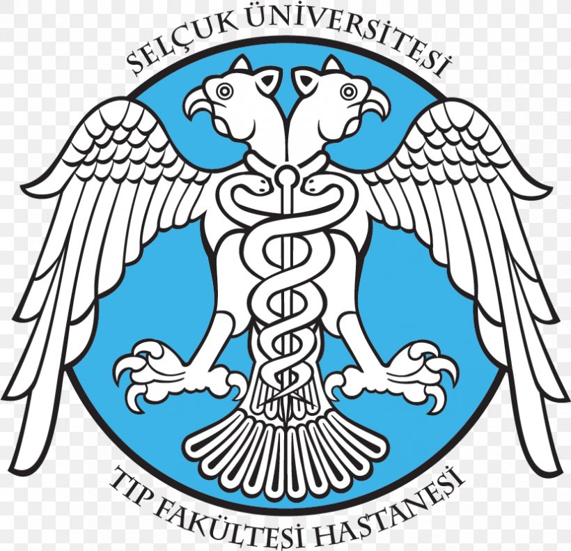Kafkas University Selcuk Univ. Medical Faculty Hospital Ufuk University Mersin University, PNG, 828x799px, University, Area, Artwork, Beak, Black And White Download Free