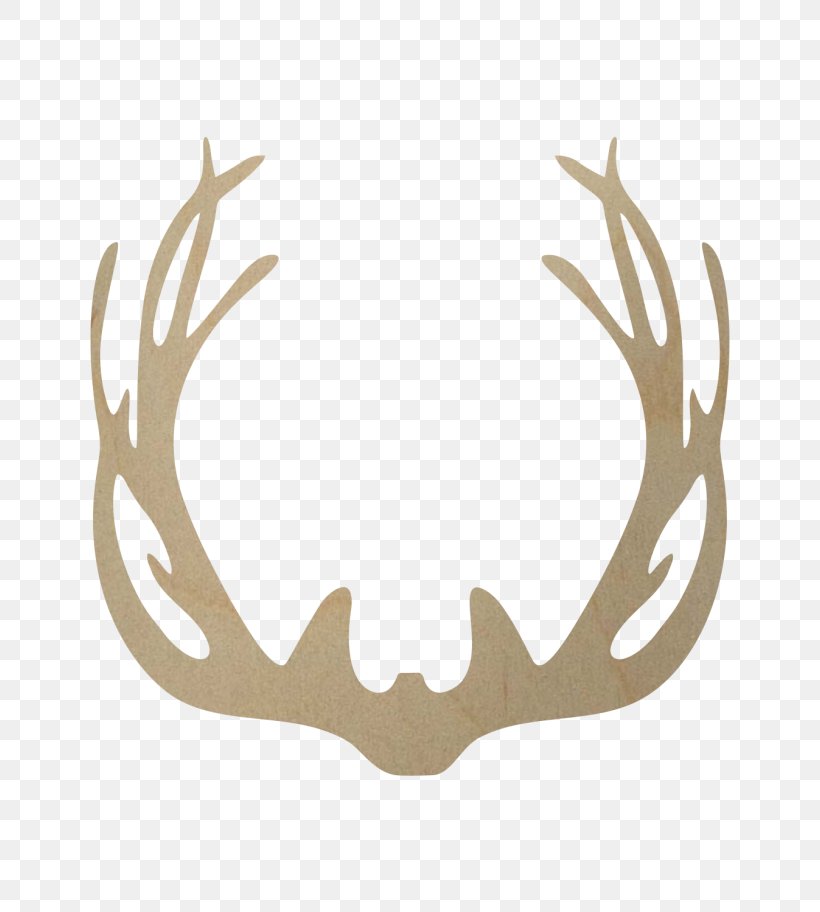 White-tailed Deer Antler Elk Horn, PNG, 684x912px, Deer, Antler, Craft, Elk, Horn Download Free