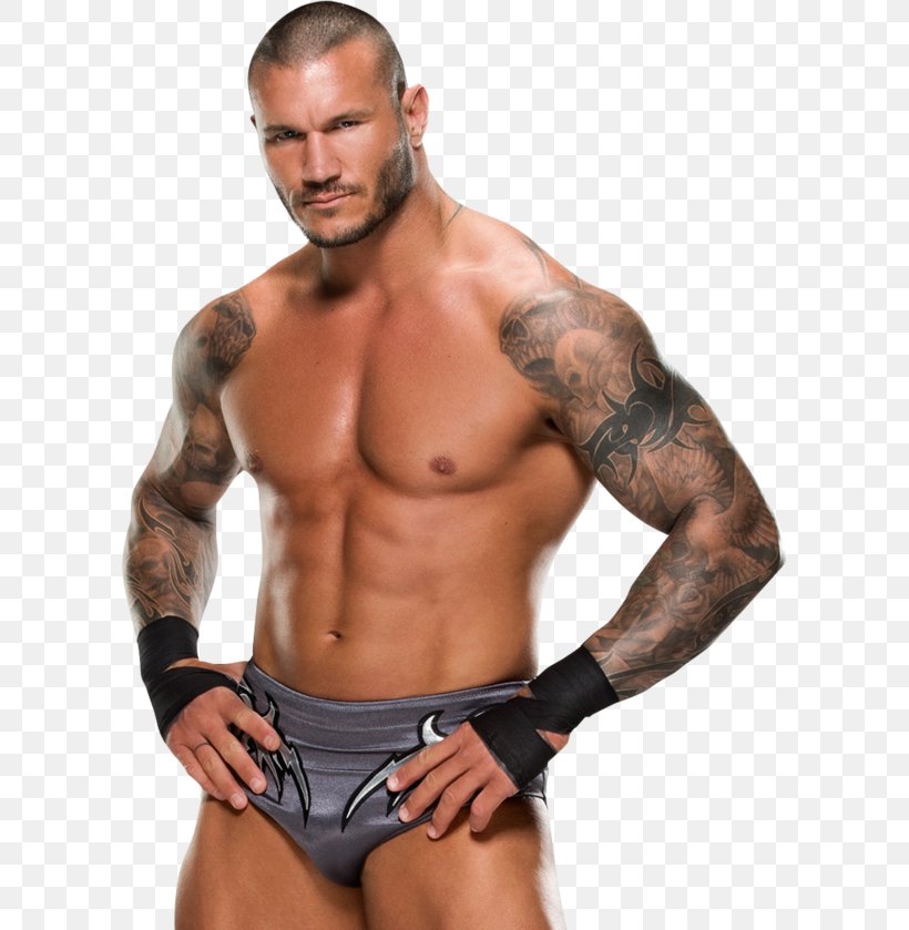Randy Orton Display Resolution Download, PNG, 600x839px, Watercolor, Cartoon, Flower, Frame, Heart Download Free