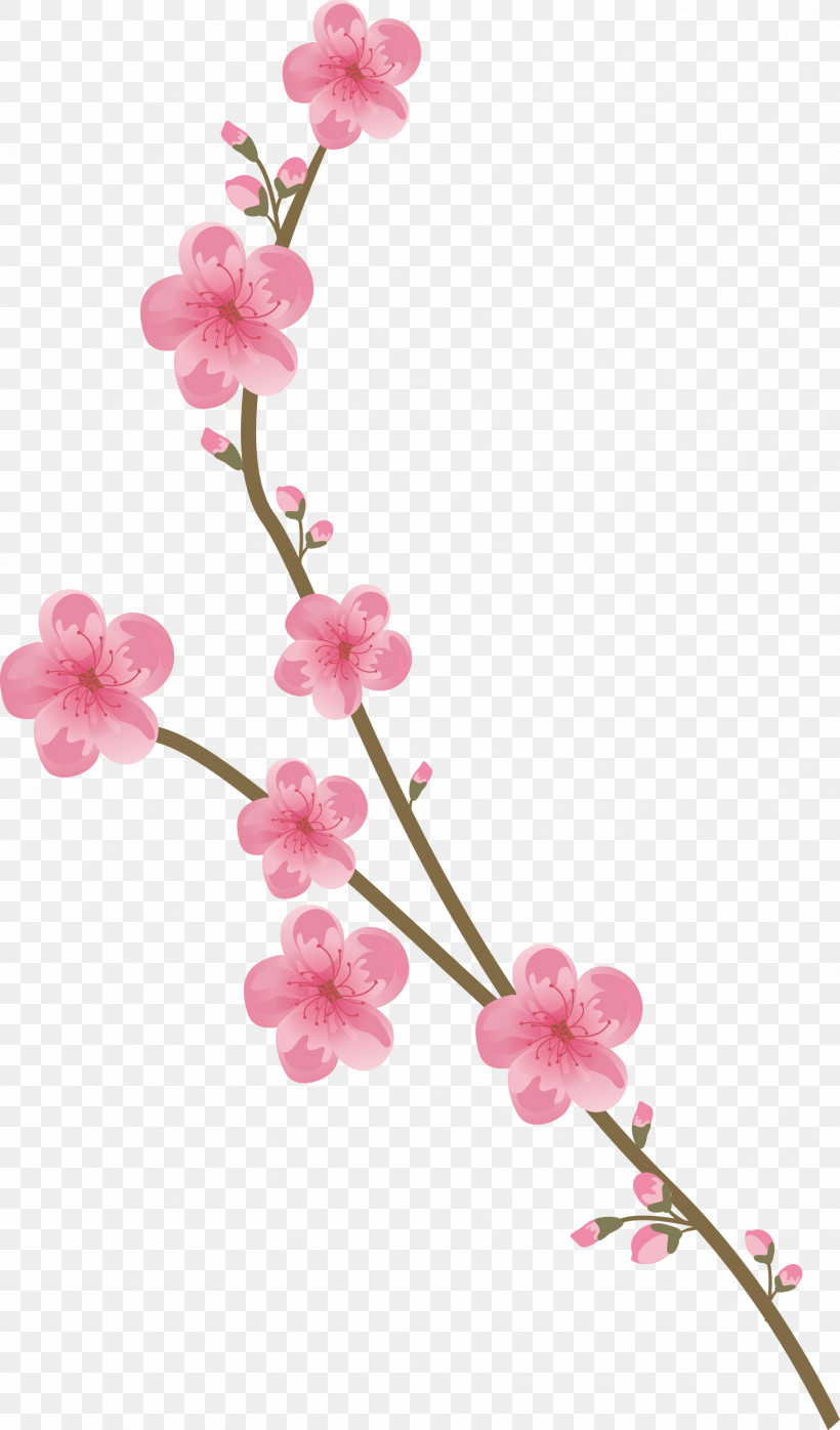 Flowers Floral, PNG, 1761x3000px, Flowers, Artificial Flower, Blossom, Branch, Cherry Blossom Download Free