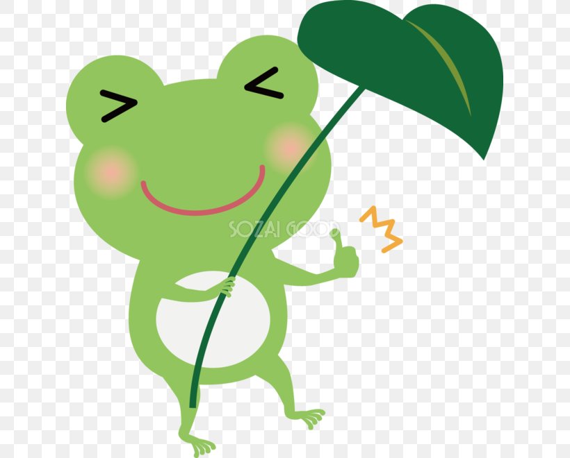 Frog Amphibian Clip Art, PNG, 629x660px, Frog, Amphibian, Animal, Branch, Calculation Download Free