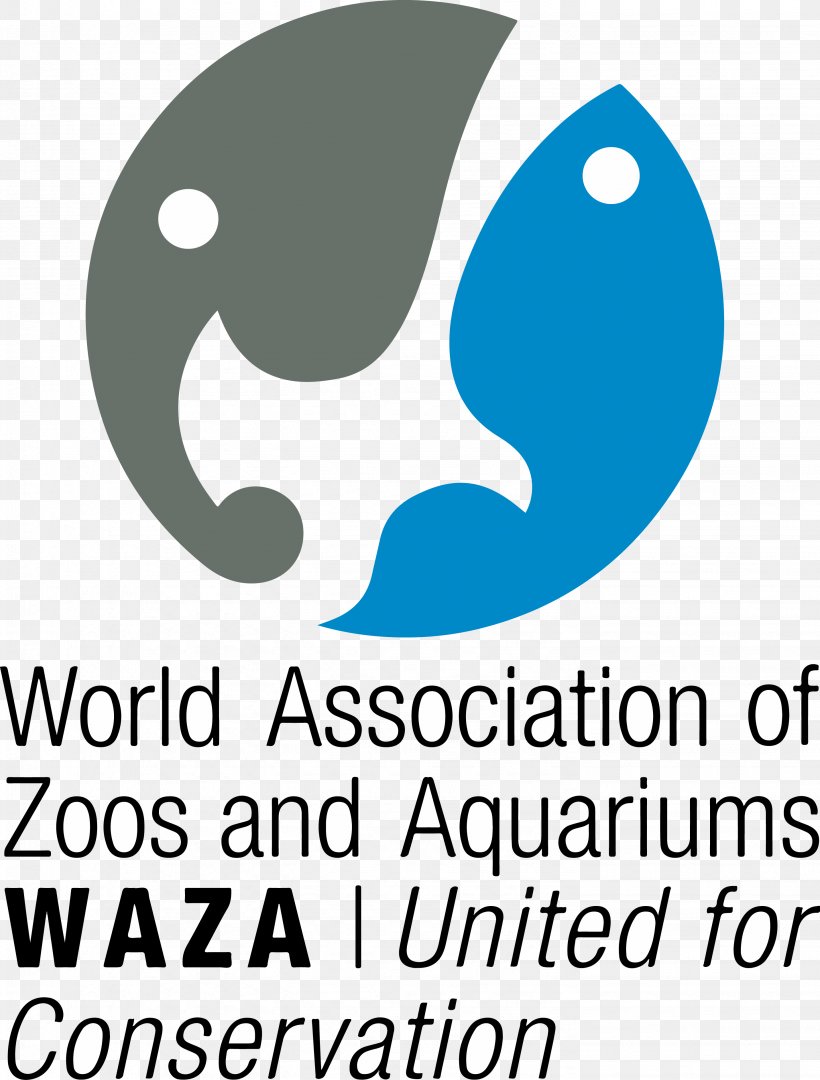 London Zoo Virginia Zoological Park Ocean Park Hong Kong World Association Of Zoos And Aquariums, PNG, 2863x3774px, London Zoo, African Lion Safari, Animal Welfare, Area, Artwork Download Free