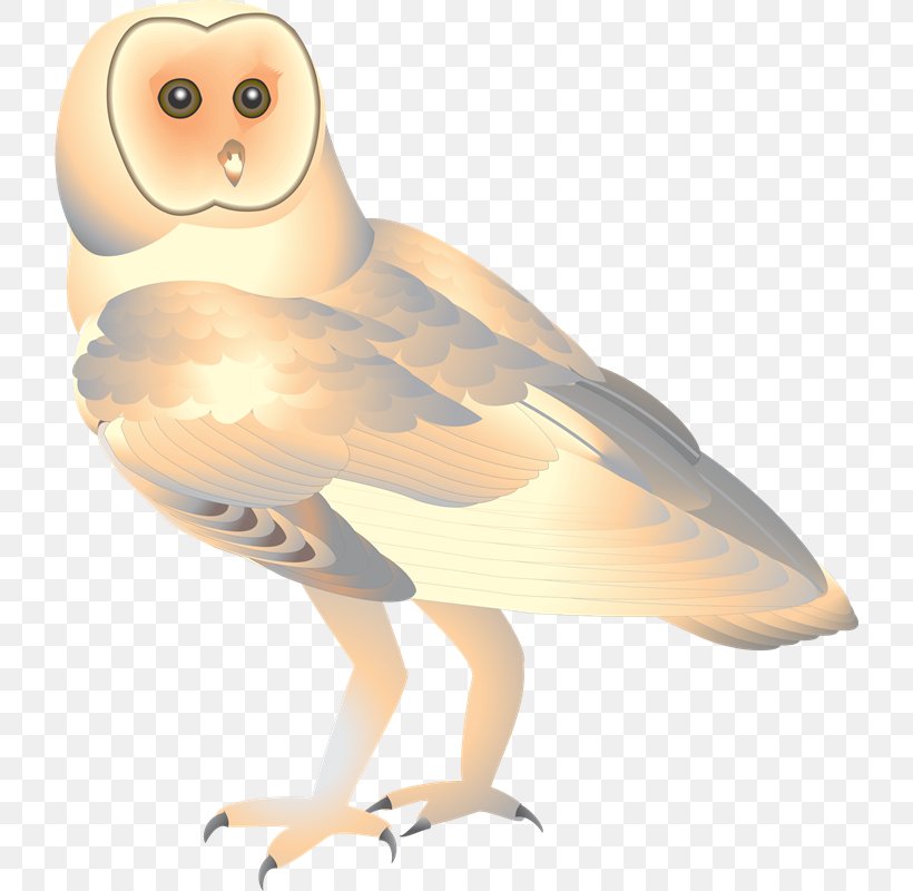 Owl Beak Bird Of Prey Feather, PNG, 722x800px, Owl, Beak, Bird, Bird Of Prey, Eating Download Free