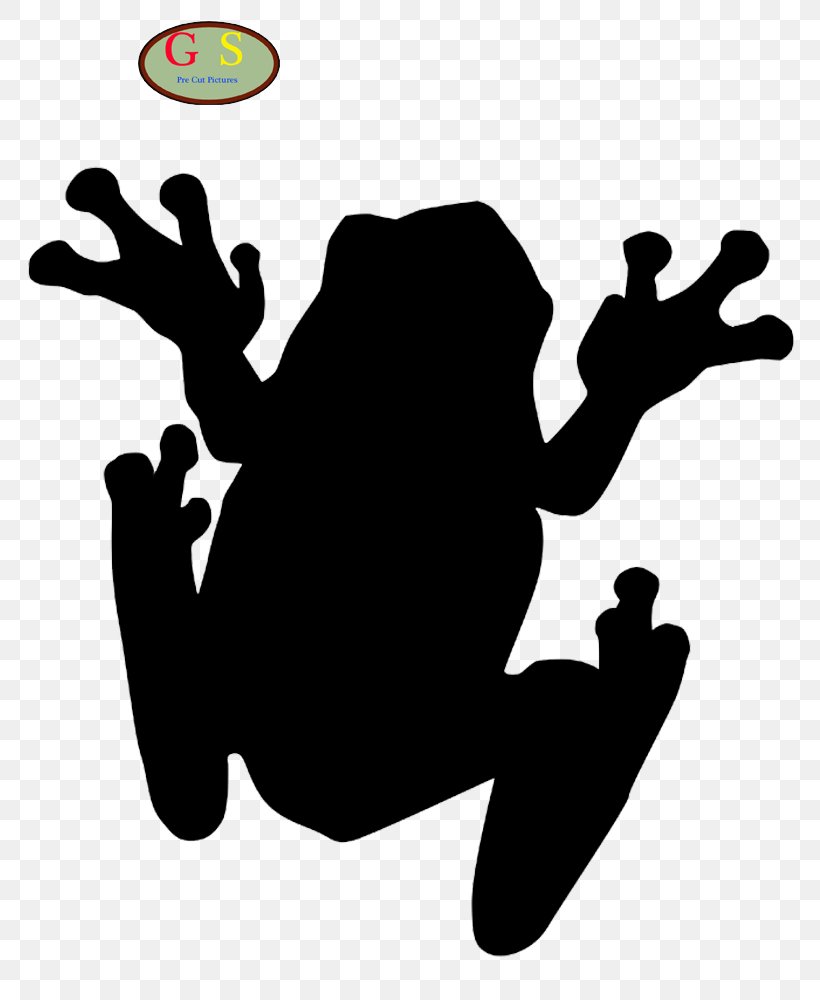 The Tree Frog Toad Clip Art, PNG, 800x1000px, Frog, American Green Tree Frog, Amphibian, Australian Green Tree Frog, Cane Toad Download Free