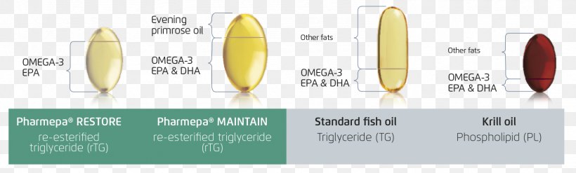 Triglyceride Paper .travel Brand, PNG, 1591x480px, Triglyceride, Area, Brand, Diary, Ester Download Free