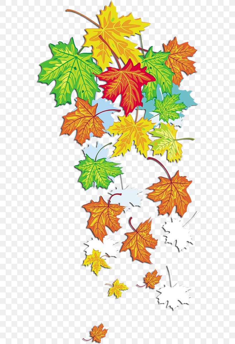 Clip Art Maple Leaf Autumn, PNG, 568x1200px, Maple Leaf, Art, Autumn, Branch, Flag Of Canada Download Free