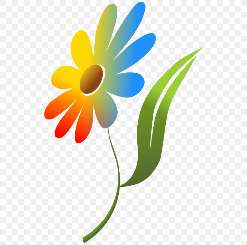 Color Flower Clip Art, PNG, 538x812px, Color, Animation, Daisy, Daisy Family, Drawing Download Free