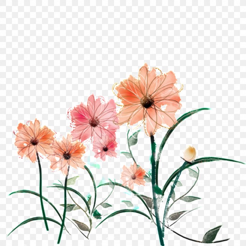 Illustration Chrysanthemum Image Flower Green, PNG, 1024x1024px, Chrysanthemum, Barberton Daisy, Botany, Chrysanths, Color Download Free