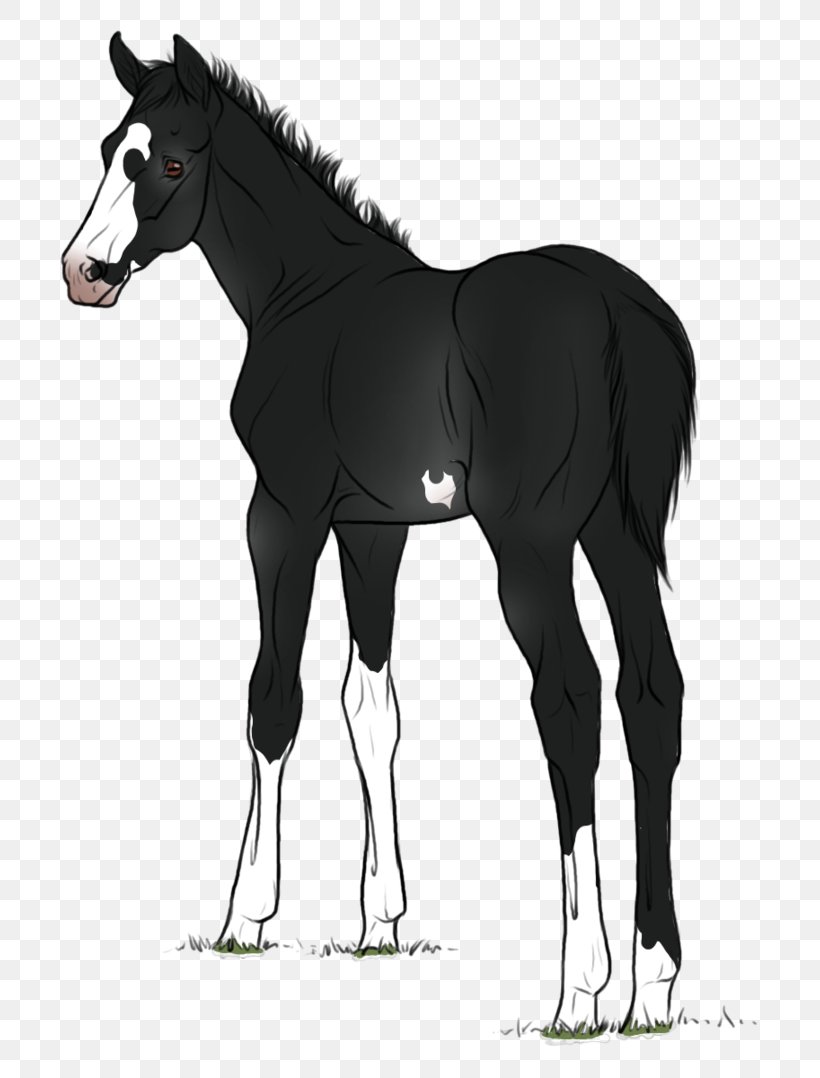 Mustang Foal Mare Stallion Mane, PNG, 741x1078px, Mustang, Bridle, Cartoon, Character, Colt Download Free