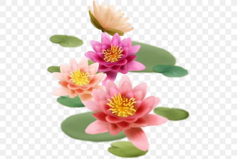 Sacred Lotus Poster 蓮の葉 Design Art, PNG, 500x552px, Sacred Lotus, Annual Plant, Aquatic Plant, Art, Document Download Free