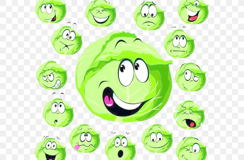 Cabbage Cartoon Vegetable, PNG, 584x539px, Cabbage, Ball, Brassica Oleracea, Cartoon, Clip Art Download Free