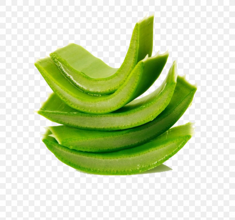 Aloe Vera Stock Photography Shutterstock, PNG, 1000x938px, Aloe Vera, Aloe, Fruit, Leaf, Pixel Download Free