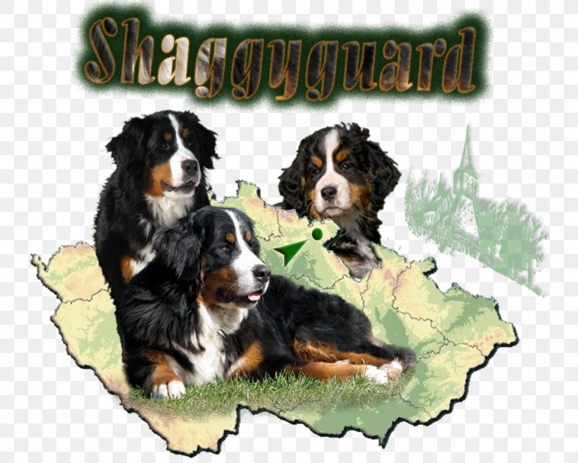 Dog Breed Bernese Mountain Dog Greater Swiss Mountain Dog Entlebucher Mountain Dog Puppy, PNG, 1000x800px, Dog Breed, Bernese Mountain Dog, Breed, Carnivoran, Companion Dog Download Free