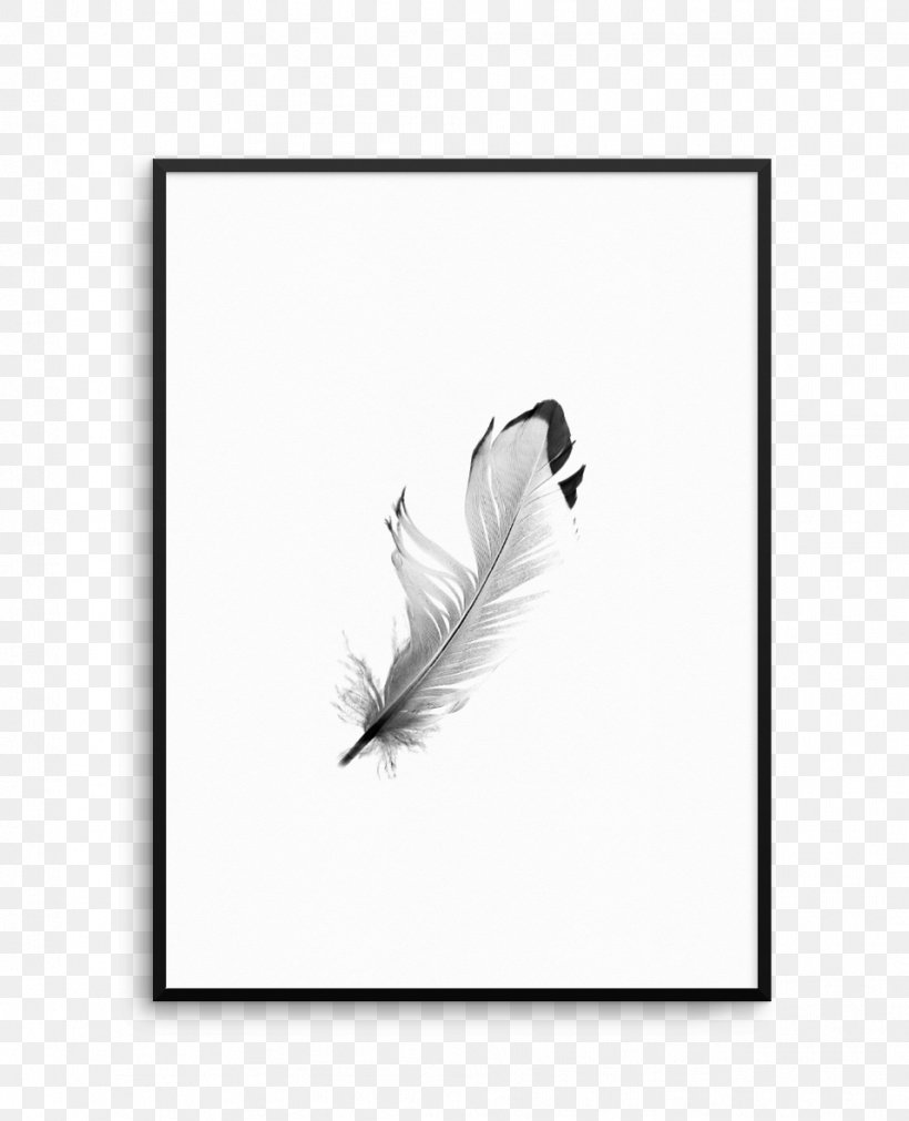 Feather White Tail Black M, PNG, 957x1181px, Feather, Bird, Black, Black And White, Black M Download Free