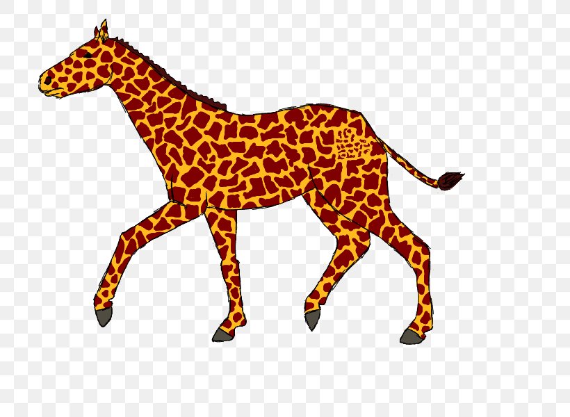 Giraffe Horse Cat Terrestrial Animal Neck, PNG, 800x600px, Giraffe, Animal, Animal Figure, Big Cat, Big Cats Download Free