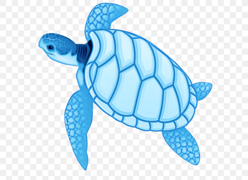 Loggerhead Sea Turtle Sea Turtles Tortoise M Sea Fish, PNG, 800x593px, Loggerhead Sea Turtle, Animal Figurine, Biology, Fish, La Quinta Inn Suites Download Free