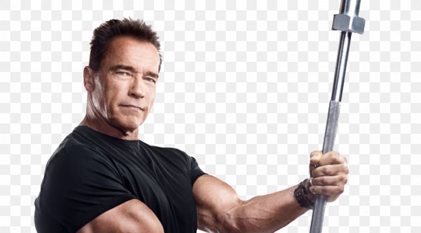Arnold Schwarzenegger Physical Exercise Arnold Education Of A Bodybuilder Bodybuilding Fitness Centre, PNG, 1109x614px, Arnold Schwarzenegger, Abdominal Exercise, Arm, Arnold Education Of A Bodybuilder, Barbell Download Free