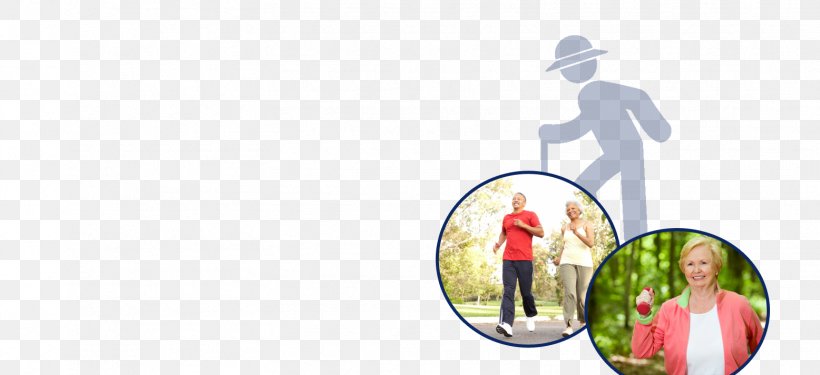 Mouse Old Age Ageing Exercise American College Of Sports Medicine, PNG, 1556x712px, Mouse, Ageing, American College Of Sports Medicine, Exercise, Homo Sapiens Download Free