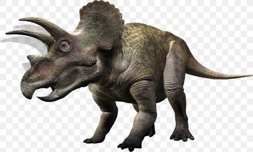 Styracosaurus Pachyrhinosaurus Triceratops Torosaurus Late Cretaceous, PNG, 995x600px, Styracosaurus, Ark Survival Evolved, Ceratopsians, Dinosaur, Extinction Download Free