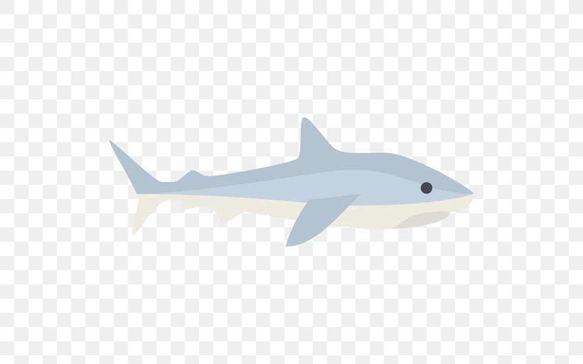 Tiger Shark Squaliform Sharks Marine Biology Marine Mammal Requiem Sharks, PNG, 512x512px, Tiger Shark, Biology, Cartilaginous Fish, Fauna, Fin Download Free
