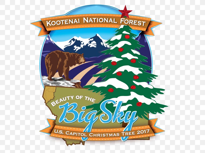 United States Capitol Kootenai National Forest The Kootenai Capitol Christmas Tree, PNG, 792x612px, United States Capitol, Capitol Christmas Tree, Christmas, Christmas And Holiday Season, Christmas Decoration Download Free