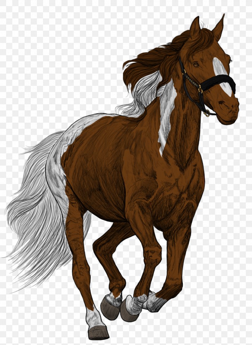 Mane Foal Stallion Pony Colt, PNG, 900x1235px, Mane, Bridle, Colt, Dog, Foal Download Free