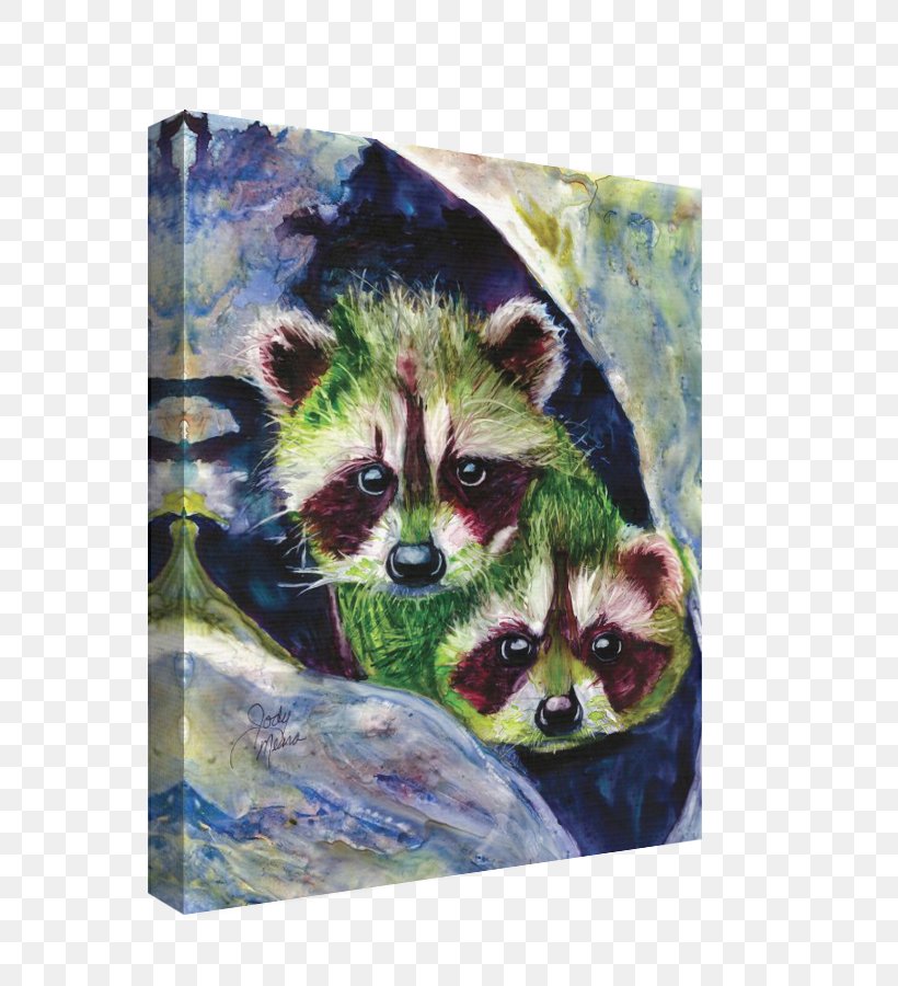 Raccoon Watercolor Painting Whiskers Procyonidae, PNG, 686x900px, Raccoon, Art, Carnivoran, Fauna, Mammal Download Free