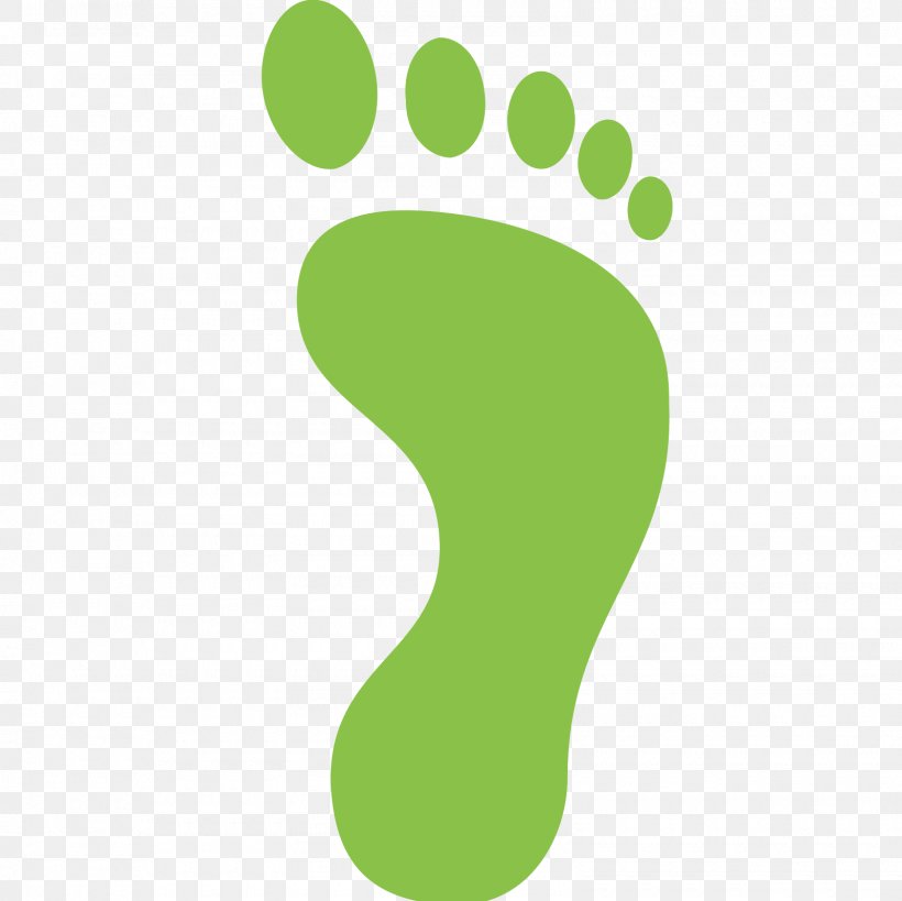 Footprint Green Color Clip Art, PNG, 1600x1600px, Footprint, Animal Track, Carbon Footprint, Color, Ecological Footprint Download Free