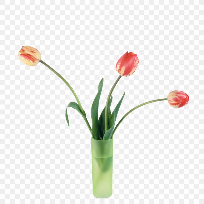 Tulip Flower Digital Image, PNG, 2000x2000px, Tulip, Artificial Flower, Black Tulip, Computer Graphics, Cut Flowers Download Free