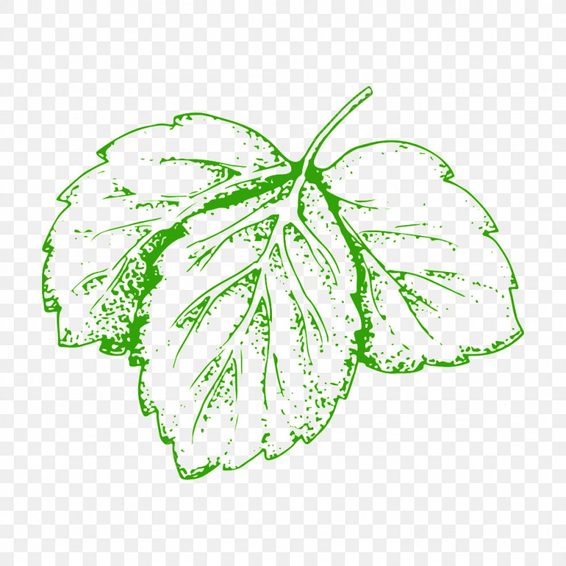Vegetable Illustration Image Leaf, PNG, 1024x1024px, Vegetable, Art, Creative Work, Diens, Drawing Download Free