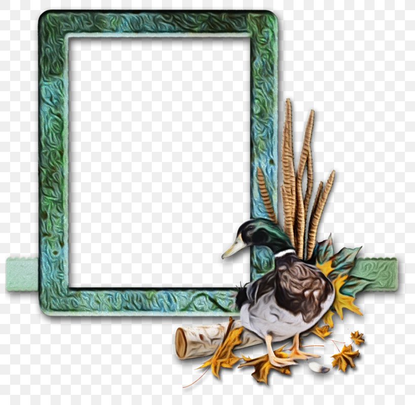 Watercolor Background Frame, PNG, 800x800px, Film Frame, Bird, Cuadro, Film, Painting Download Free