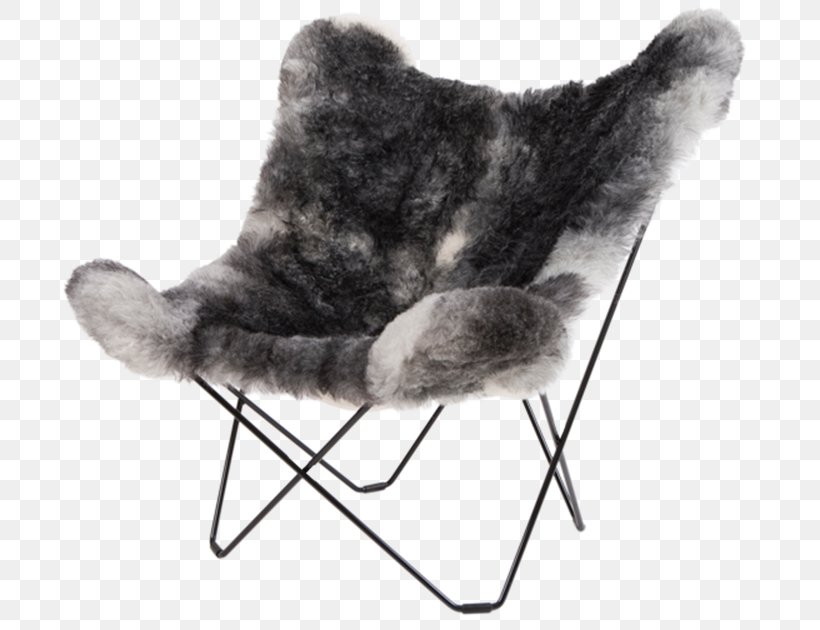 Butterfly Chair Egg Wing Chair, PNG, 750x630px, Chair, Black And White, Butterfly Chair, Cat, Cat Like Mammal Download Free
