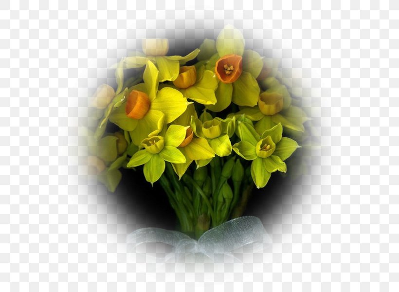 Flower Photography Photographer Animation, PNG, 600x600px, Flower, Animation, Beauty, Color, Cut Flowers Download Free
