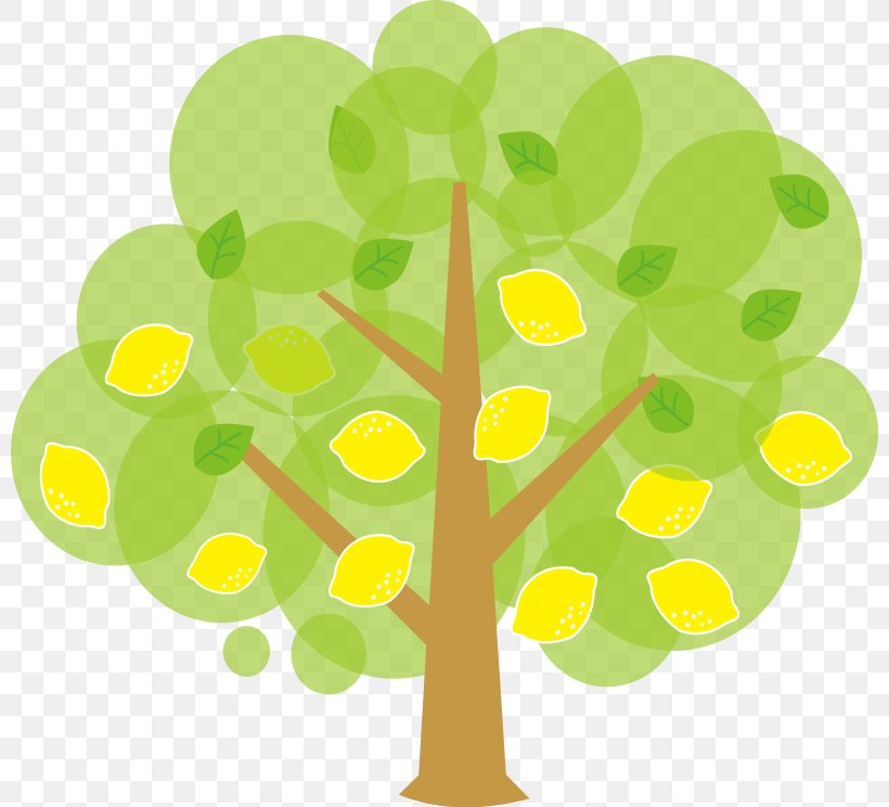 Tree Variegated Pink Lemon Free Content Clip Art, PNG, 800x744px, Tree, Animation, Autumn, Branch, Drawing Download Free