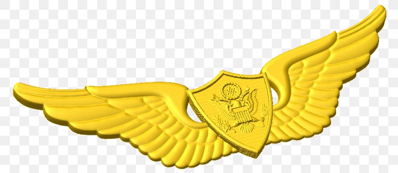 Astronaut Badge Combat Infantryman Badge Expert Infantryman Badge Army, PNG, 792x357px, Astronaut Badge, Aircrew Badge, Army, Astronaut, Award Download Free
