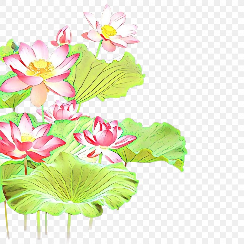 Floral Design Cut Flowers Plant Stem Nelumbonaceae, PNG, 1417x1417px, Floral Design, Aquatic Plant, Aquatic Plants, Botany, Cut Flowers Download Free