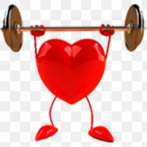 Heart - Heart Cardiovascular Disease Health, Fitness And Wellness PNG