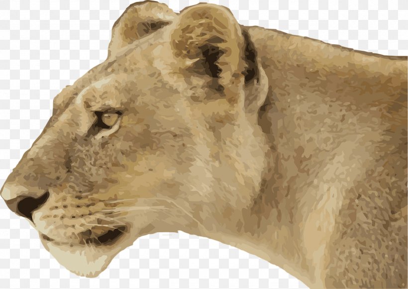 Lion Drawing Chobe National Park Dog, PNG, 1280x907px, Lion, Big Cats, Carnivoran, Cat Like Mammal, Chobe National Park Download Free