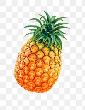Pineapple - Low-alcohol Beer Juice Soft Drink Masala Chai PNG