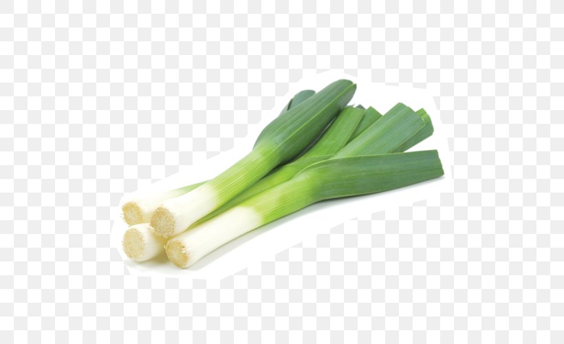 Onion Cartoon, PNG, 500x500px, Leek, Allium, Amaryllis Family, Food, Fruit Download Free