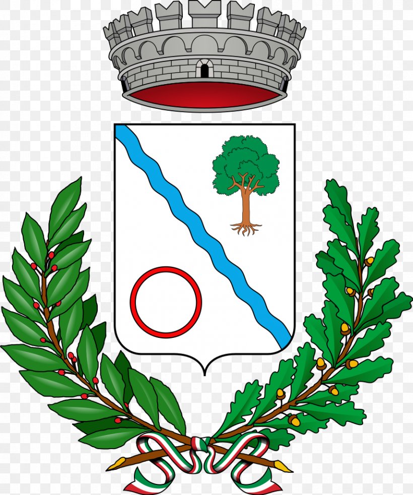 Coat Of Arms Agira Peschiera Borromeo Heraldry Piazza Armerina, PNG, 854x1024px, Coat Of Arms, Agira, Artwork, Comune, Flora Download Free