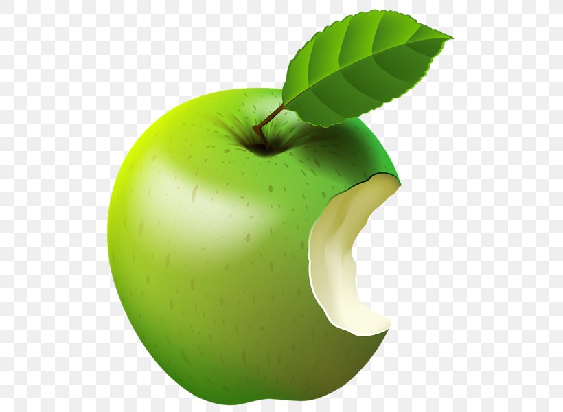 Apple Clip Art, PNG, 511x600px, Apple, Diet Food, Food, Fruit, Golden Apple Download Free