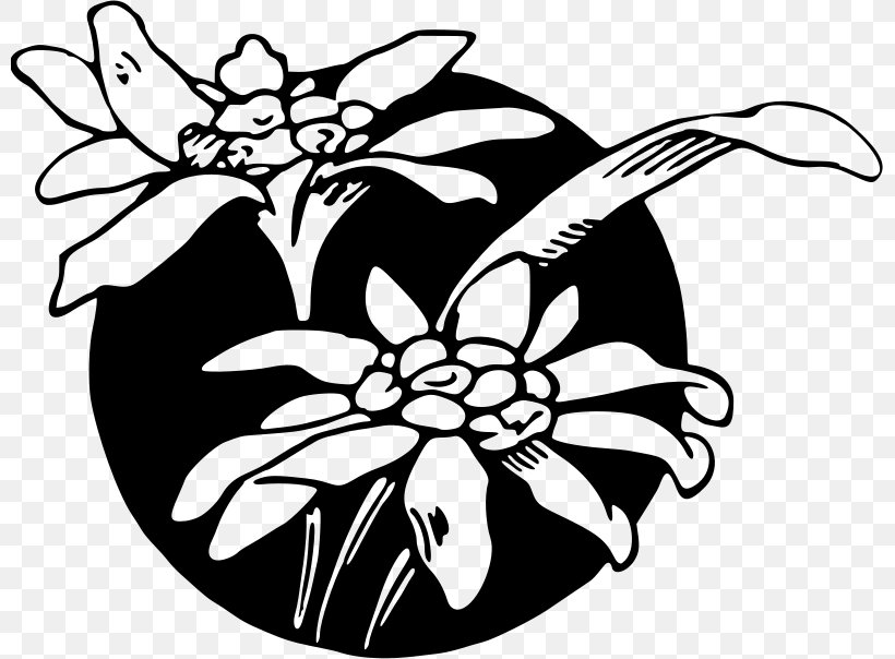 Floral Design Flowering Plant Clip Art, PNG, 800x604px, Floral Design, Art, Artwork, Black, Black And White Download Free