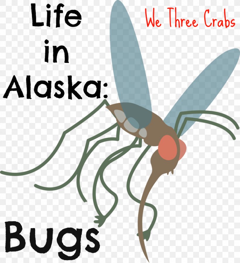 Fly Insect Ketchikan Aedes Albopictus Clip Art, PNG, 854x936px, Fly, Aedes, Aedes Albopictus, Alaska, Area Download Free