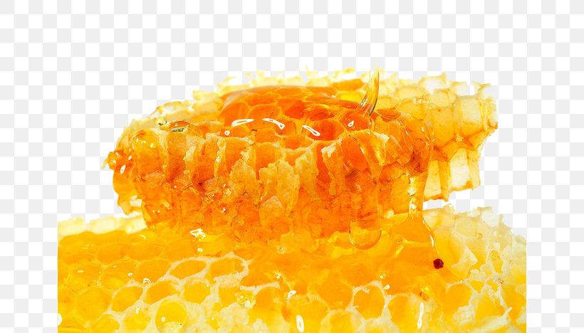 Honey Bee Honeycomb Food, PNG, 658x468px, Bee, Beehive, Beekeeping, Corn On The Cob, Cuisine Download Free