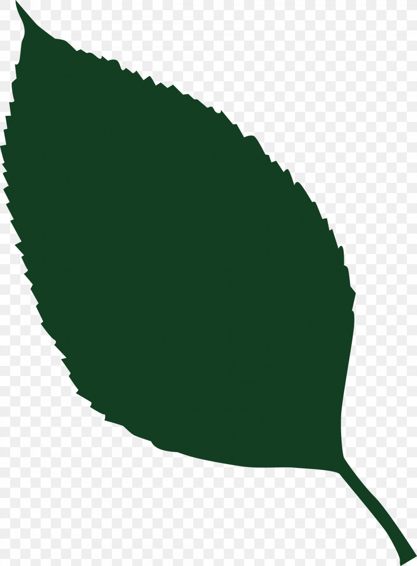 Leaf, PNG, 2207x3000px, Leaf, Biology, Fish, Green, Meter Download Free