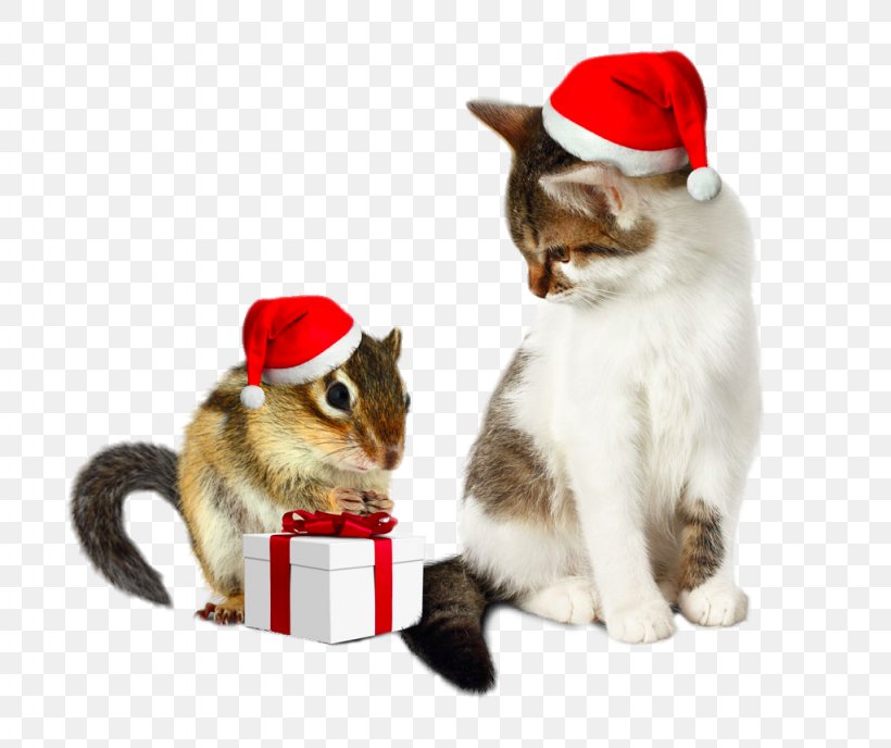 Santa Claus Chipmunk Christmas Humour Cat, PNG, 1024x860px, Cat, Carnivoran, Cat Like Mammal, Christmas, Christmas Gift Download Free
