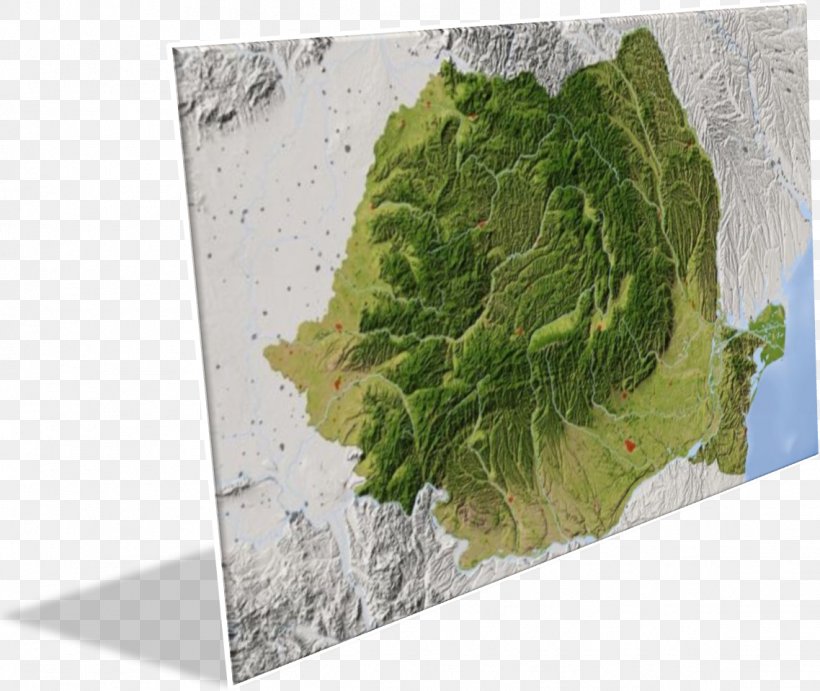 Coat Of Arms Of Romania Map Three-dimensional Space Romanian Armed Forces, PNG, 1138x959px, 3d Film, Romania, Blogger, Coat Of Arms, Coat Of Arms Of Romania Download Free