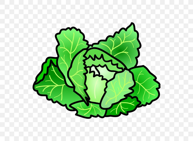 Greens Leaf Cabbage Clip Art Vegetable, PNG, 600x600px, Greens, Artwork, Cabbage, Emneord, Food Download Free